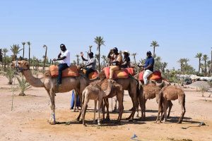 Les participants à dos de cheval dans le désert